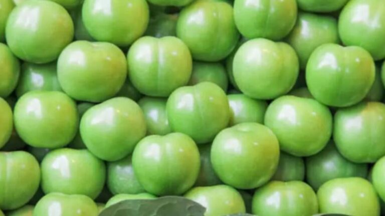 Eriğin bu faydasını daha önce kimse duymadı