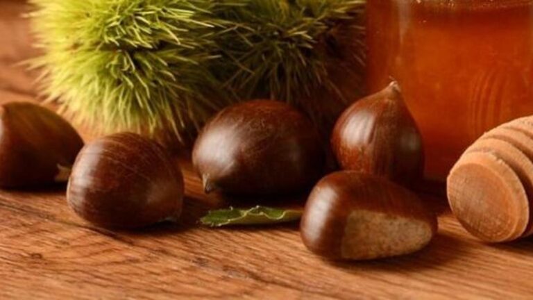 Kestane Kilo Aldırır Mı? Kestane Kilo Yapar Mı?