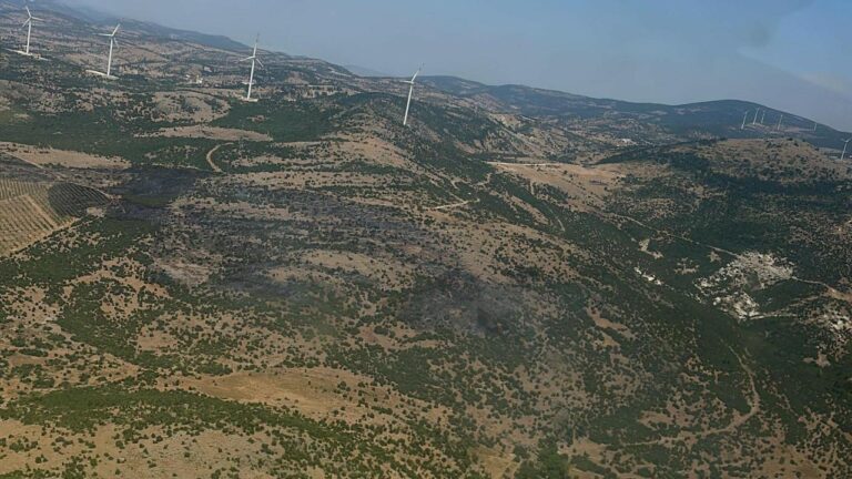 Manisa’nın Kırkağaç ilçesinde çıkan orman yangını kontrol altına alındı