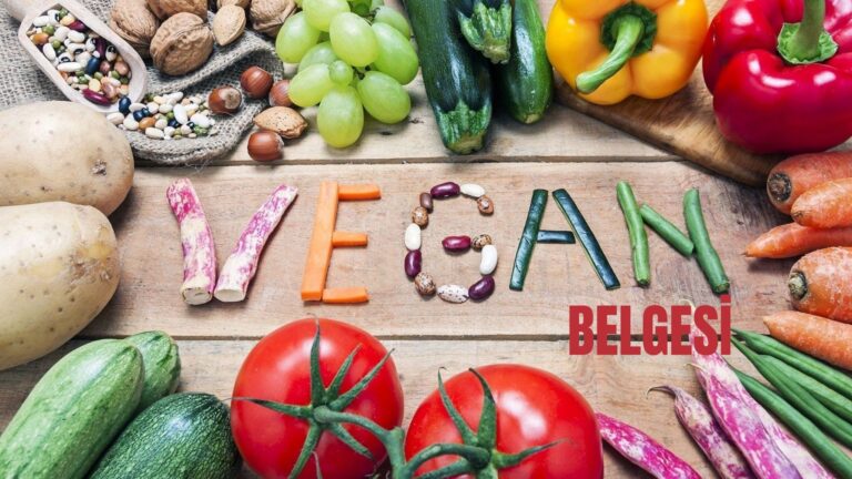 Vegan Belgesi – Gıda Endüstrisinde Yeni Trendler