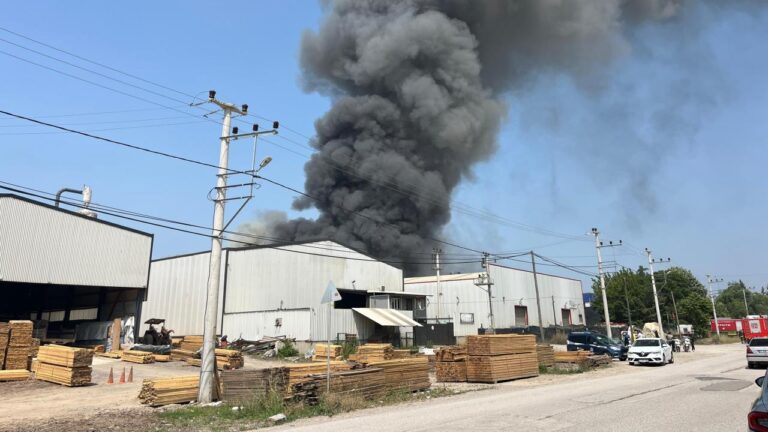 Kocaeli'de fabrika yangını