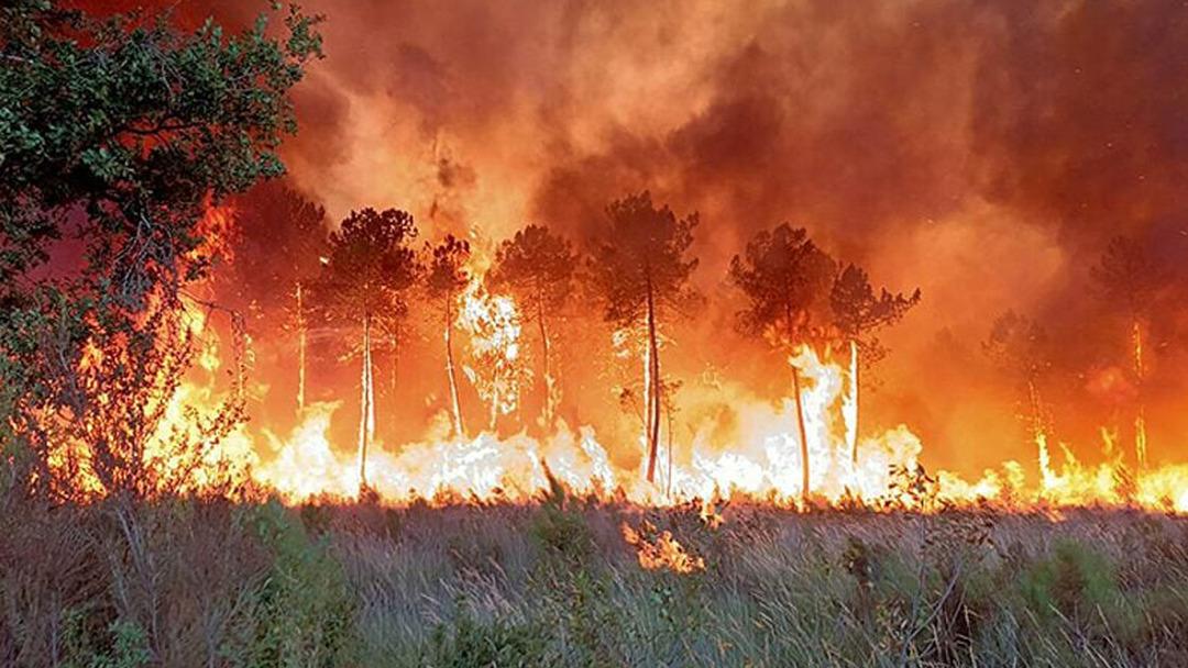 İspanya'nın orman yangınlarıyla mücadeleleri: 2 bin 377 hektar yanmış hektar 2